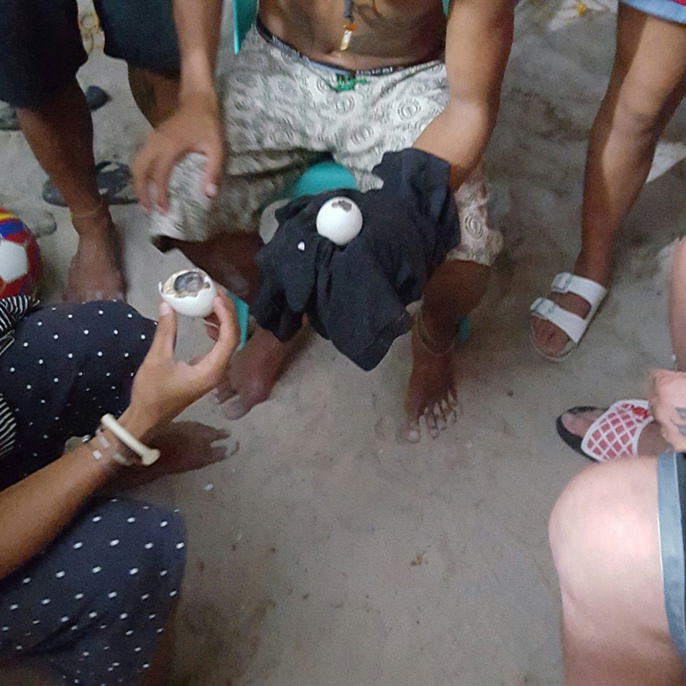 12575749_1062107930501000_785657229_n (1)