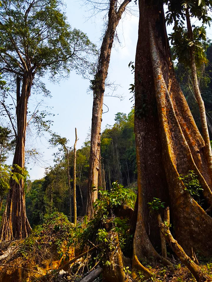 trekking in laos (9)