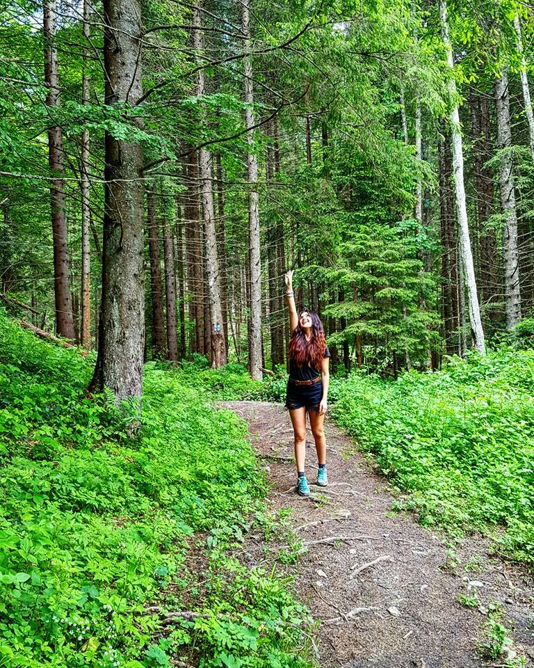 13406923_1158479257530533_1736896759805515235_n