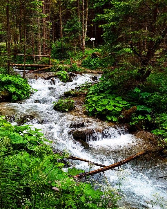 13552722_1168997793145346_1465643781_n