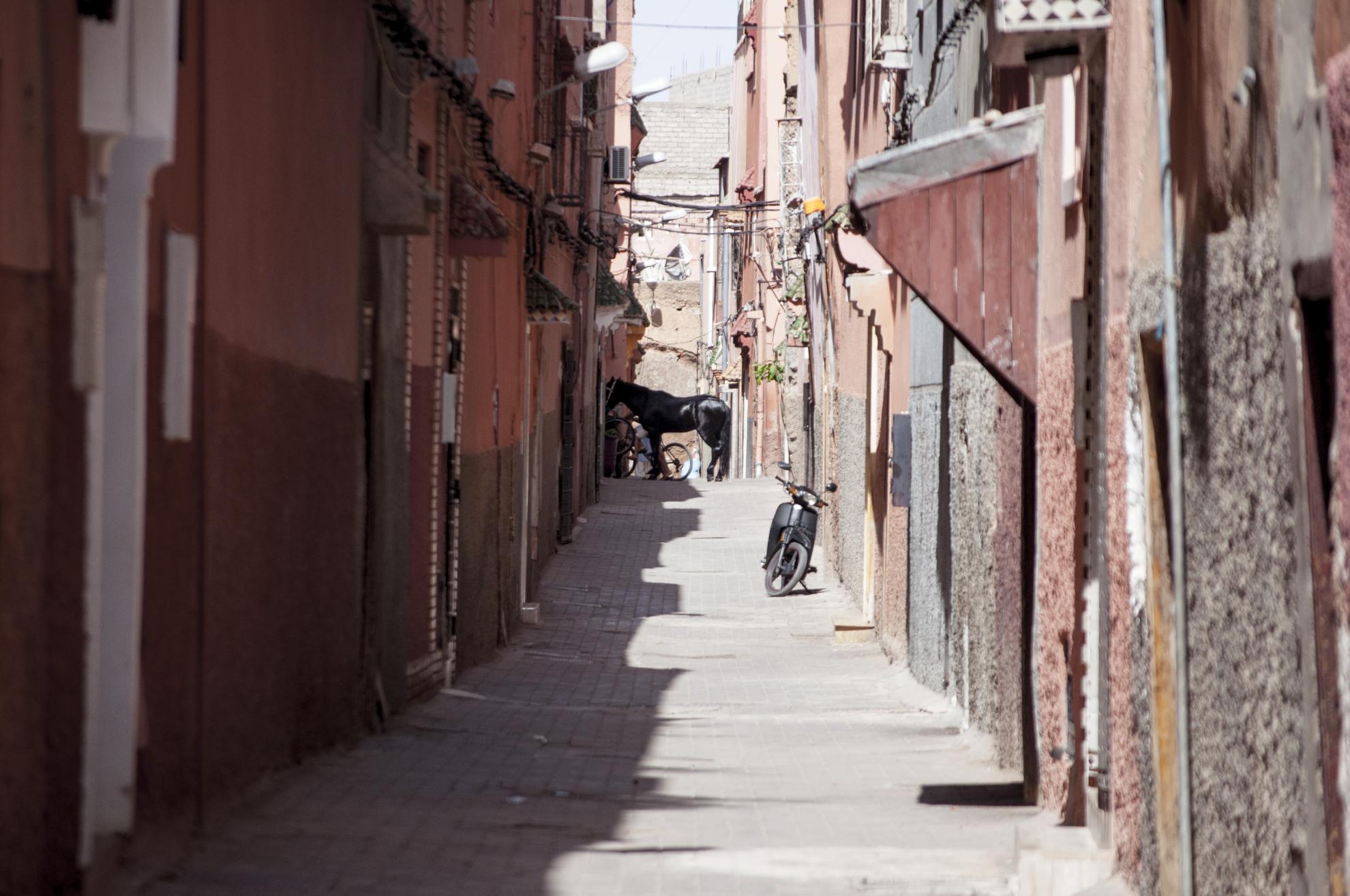 streets of marrakesh