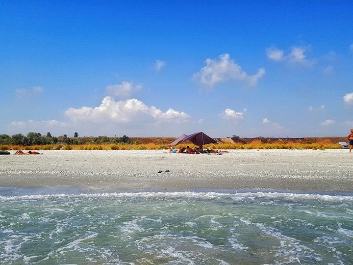 14348974_1226545234057268_1620136654_n