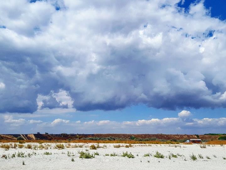 14384073_1227268040651654_1878474305_n