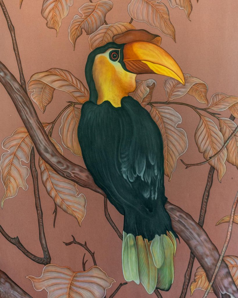 hornbill