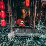 Despre Chengdu. China