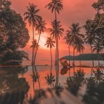 Soneva Kiri Experience